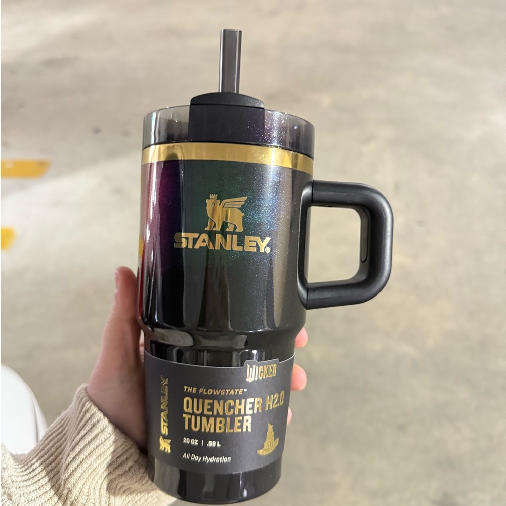 Wicked Stanley - Elphaba for Good 20 oz Tumbler Target Exclusive